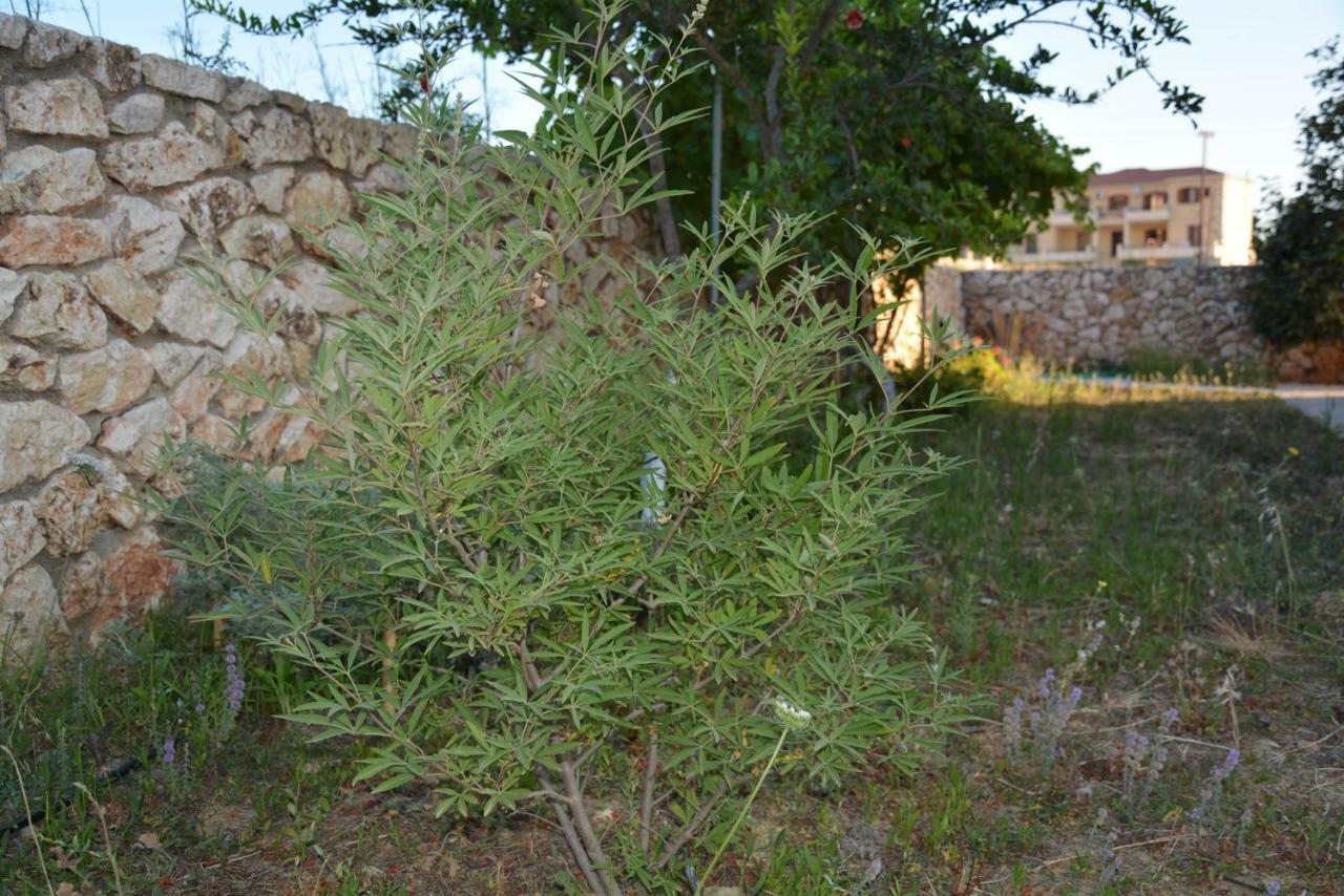 Lotus Sea View Studio Apartment 2 Lixouri Buitenkant foto